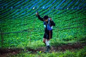 BIB: 
                            <button type="button" onclick="openModal(19160149)" class="btn btn-primary btn-sm float-right btn-popup" data-toggle="modal" data-target=".modal-high-quality">
                        <i class="fas fa-shopping-cart"></i> Add to Cart
                    </button>
                                            <button type="button" onclick="isThisMe(19160149, true)" class="btn btn-success btn-sm float-right btn-popup btn-isme hidden" data-toggle="tooltip" data-placement="bottom" title="นี่คือรูปของคุณใช่ไหม คลิกที่นี่เพื่อเอาเข้าอัลบั้ม">
                        <i class="fas fa-plus"></i> Add to album
                    </button>
                    <button type="button" onclick="isThisMe(19160149, false)" class="btn btn-warning btn-sm float-right btn-popup btn-isnotme hidden">
                        <i class="fas fa-ban"></i> Remove from album
                    </button>